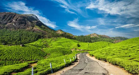 Essential South India Tour 14 days / 13 Nights